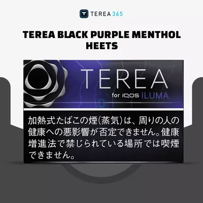 TEREA Black Purple Menthol