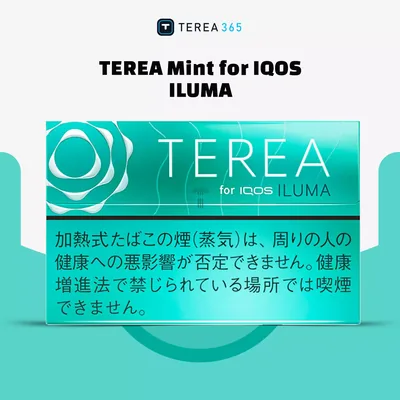 IQOS TEREA Mint