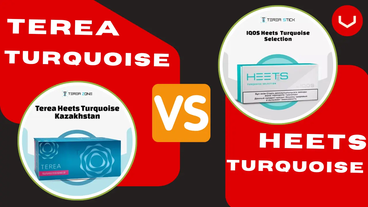 The Ultimate Turquoise Showdown: TEREA vs. HEETS Compared