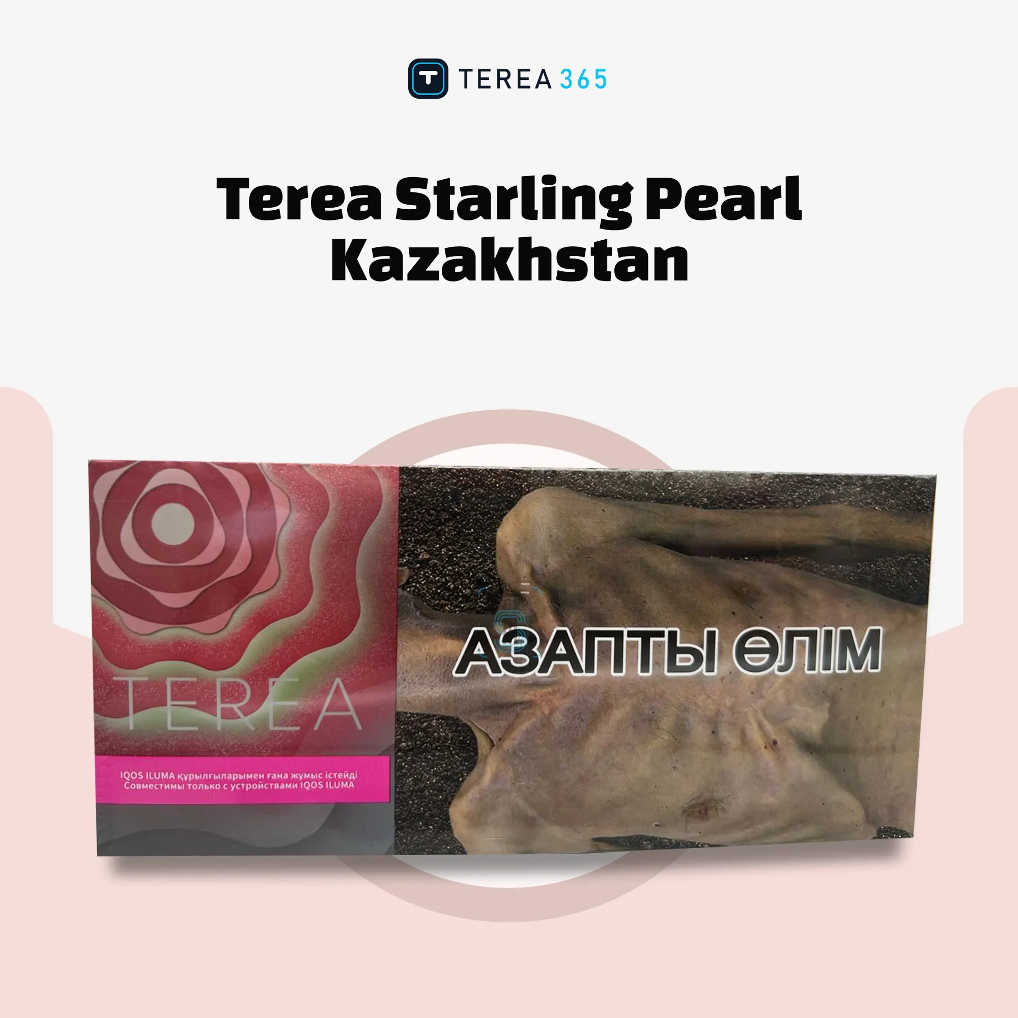 IQOS Terea Starling Pearl Kazakhstan