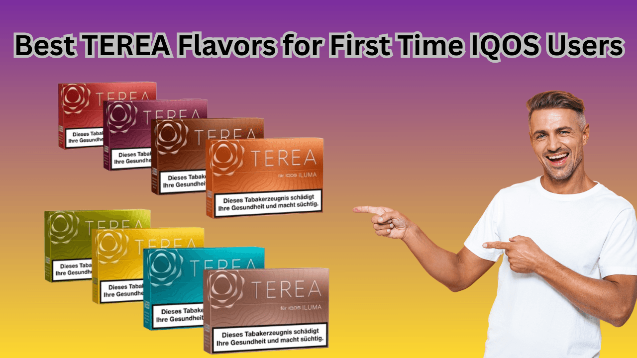 Best TEREA Flavors for First Time IQOS Users