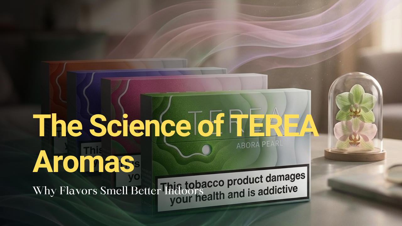 The Science of TEREA Aromas: Why Some Flavors Smell Better Indoors