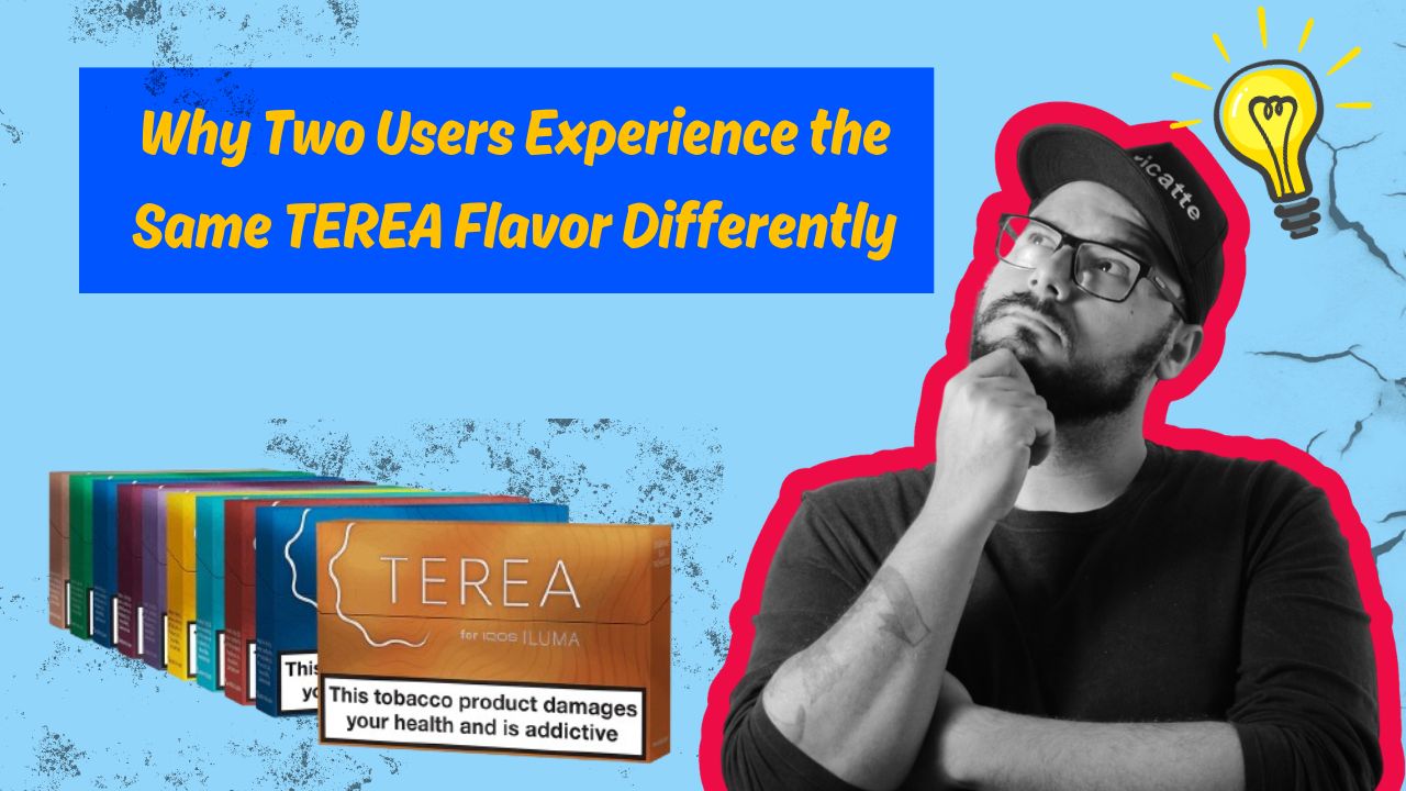 Why Two Users Experience the Same TEREA Flavor Differently
