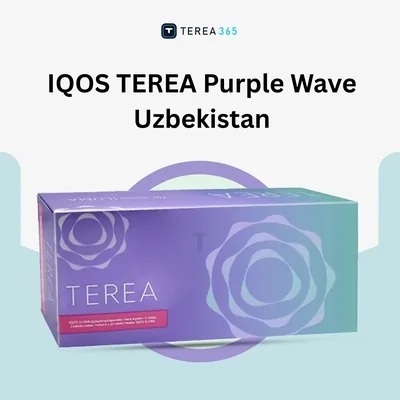 IQOS TEREA Purple Wave Uzbekistan