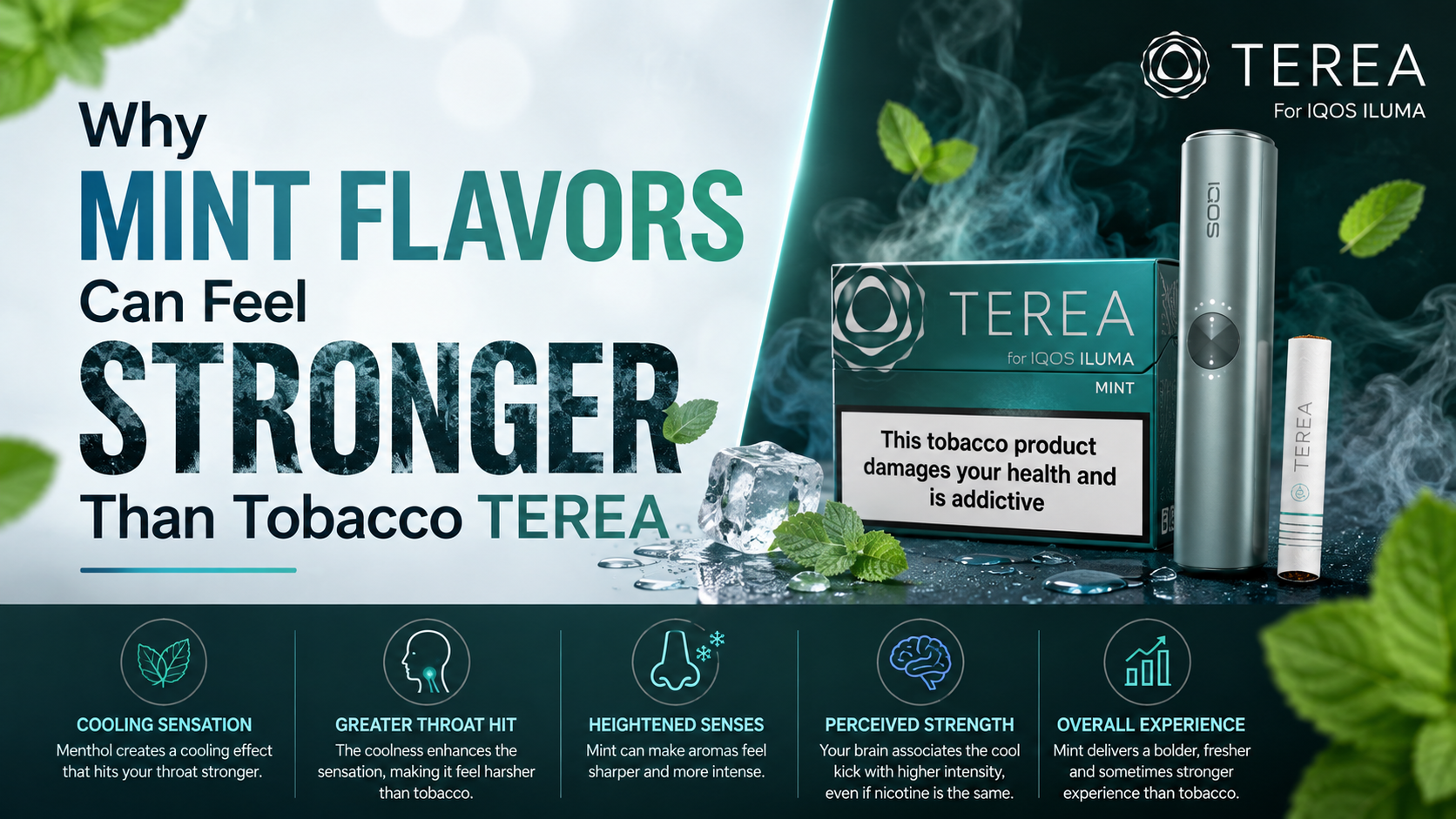 Why Mint Flavors Can Feel Stronger Than Tobacco TEREA
